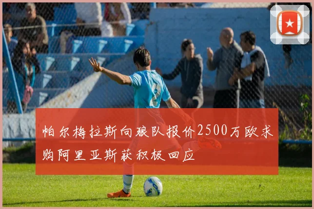 帕尔梅拉斯向狼队报价2500万欧求购阿里亚斯获积极回应