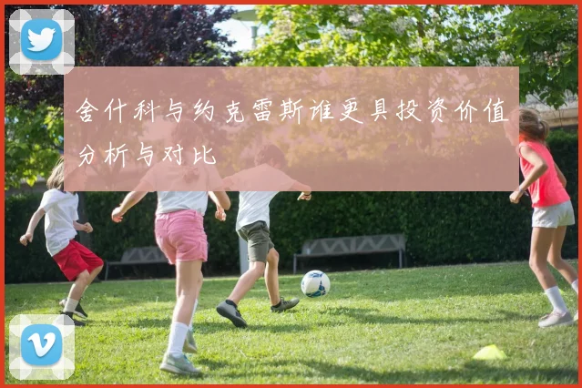 舍什科与约克雷斯谁更具投资价值分析与对比