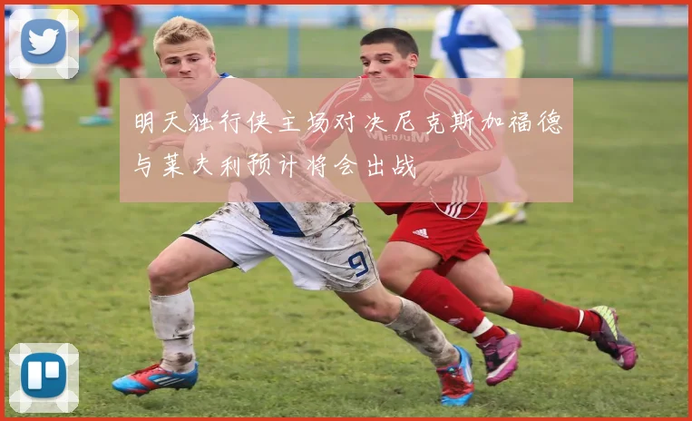 明天独行侠主场对决尼克斯加福德与莱夫利预计将会出战