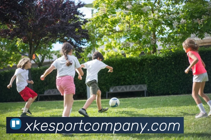 星空电竞平台生态图