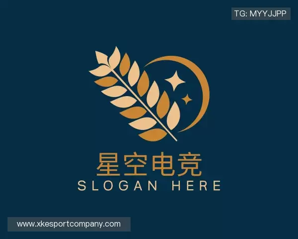 知道星空电竞官网